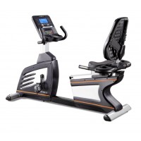 XeBeX Recumbent 855R 