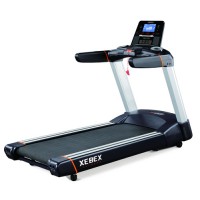 XeBeX Treadmill 800