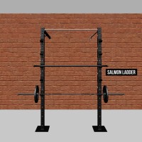 Wall-Mount Salmon Ladder Pull-Up Rig
