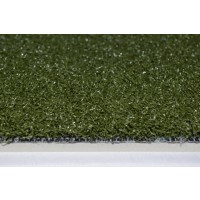 Speed Turf **Ships Free**