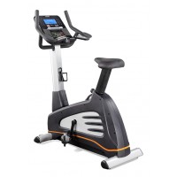 XeBeX Upright Bike 800